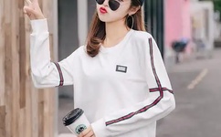 我的乌龟要进入你的扇贝视频